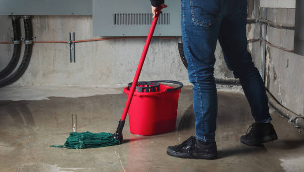 Best Water damage cleanup near me  in Noel, MO