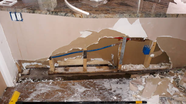 Best Flood damage cleanup  in Noel, MO