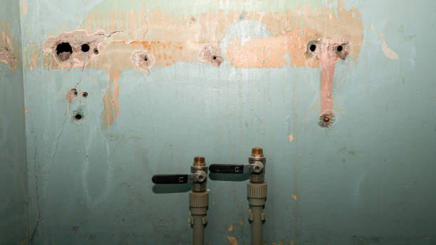 Best 24-hour water damage restoration  in Noel, MO
